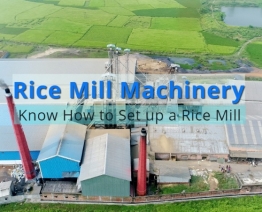 Everything You Need To Know About Setting Up Rice Mill Machinery
