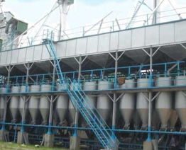 What Are Some Common Effects Of Paddy Parboiling?