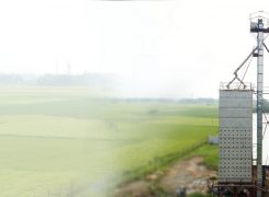 Know the Role of Rice Milling Machinery in Grain Processing Industry