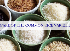 Know The Common Rice Varieties Before Investing In Paddy Parboiling Dryer