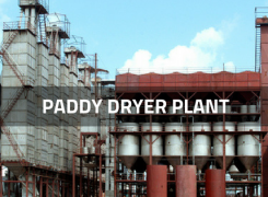 Key Methods Of Paddy Drying To Ensure Proper Storage