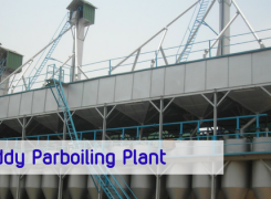 Know More About Rice Mill Machinery Before Investing In One