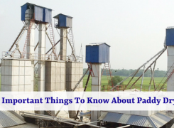 A Few Important Things To Know About Paddy Drying