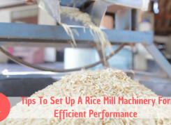 Buying Rice Mill Machinery? First Know About The Set Up Process