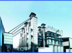 Key Arrangements to Ensure Profits in a Rice Mill Machinery Business