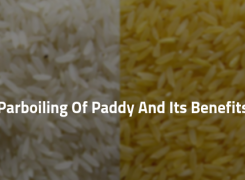 A Few Notes Regarding Parboiling Of Paddy And Its Benefits